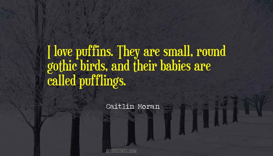 Birds Love Quotes #155761