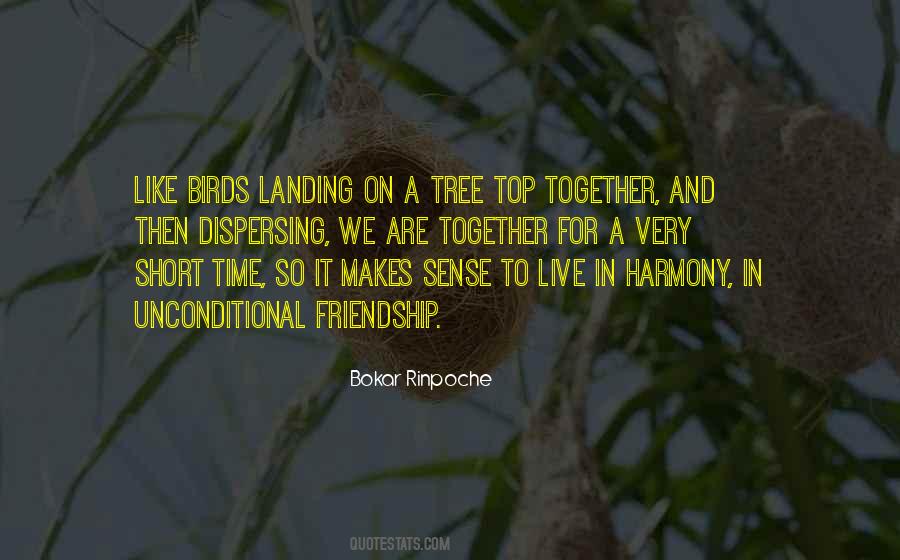 Birds Love Quotes #390169