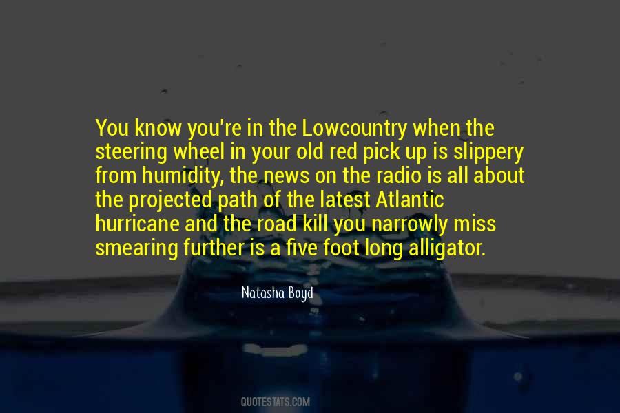 Quotes About The Lowcountry #1165646