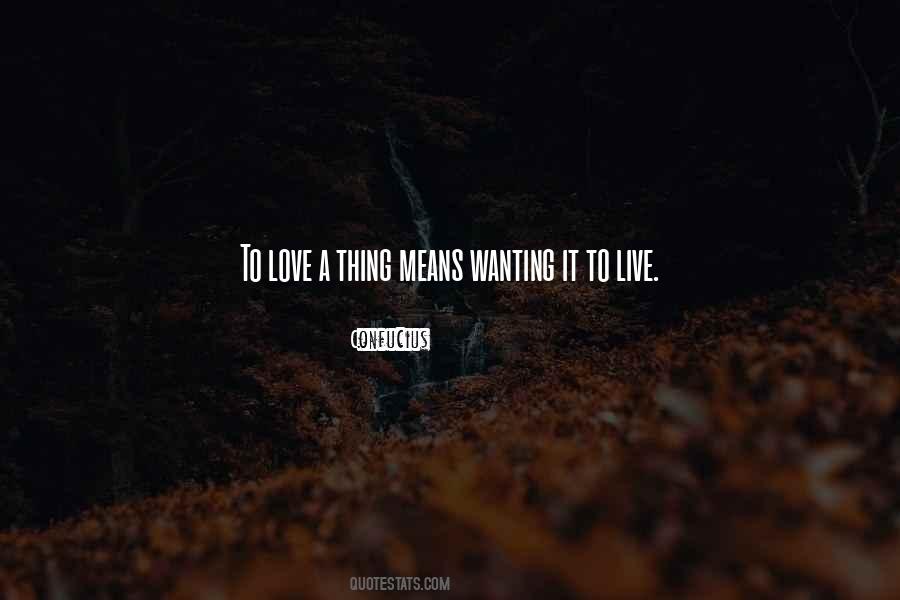Quotes About Wanting To Love #595058