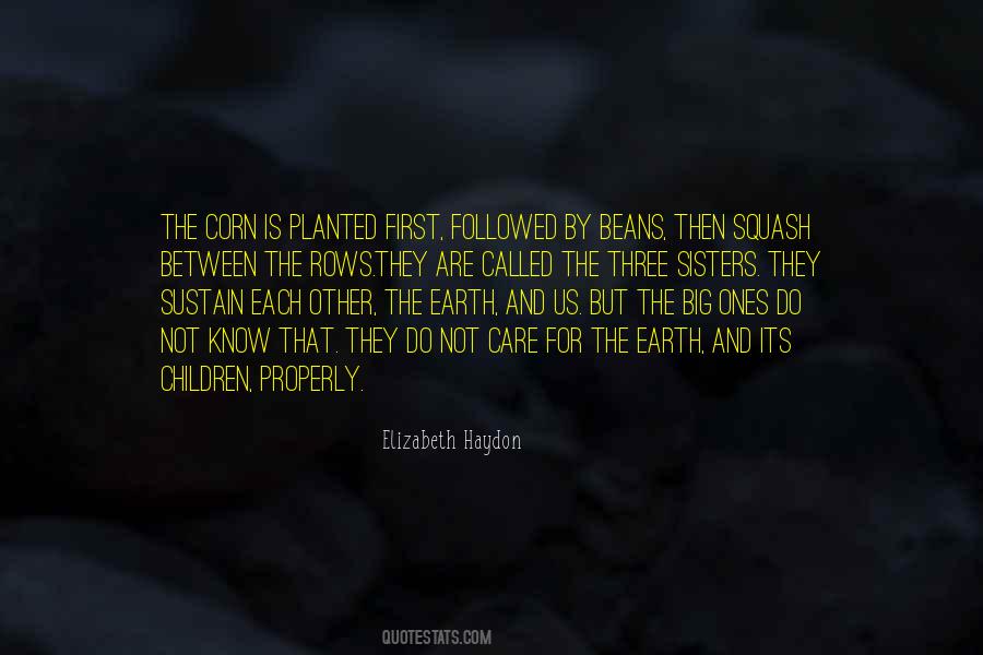 Care For The Earth Quotes #1493435