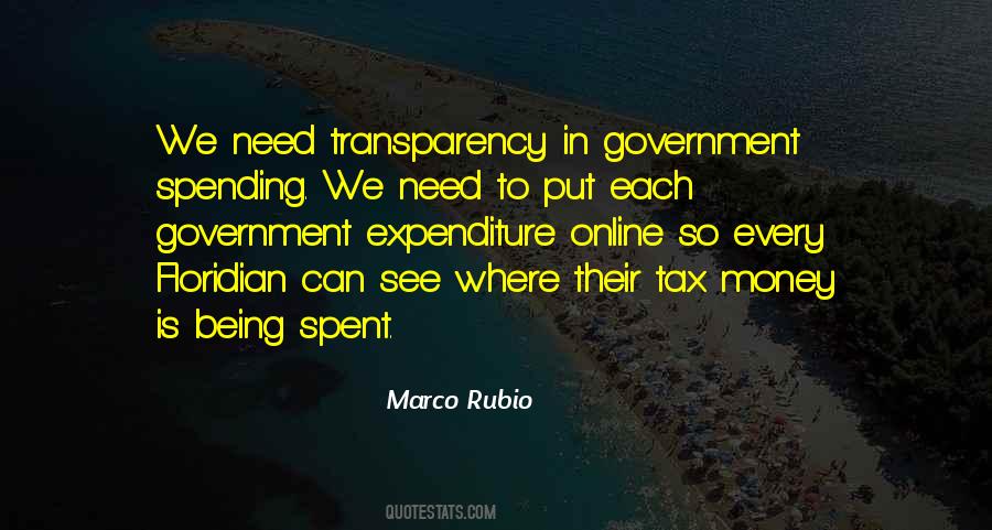 Quotes About Transparency In Government #484108