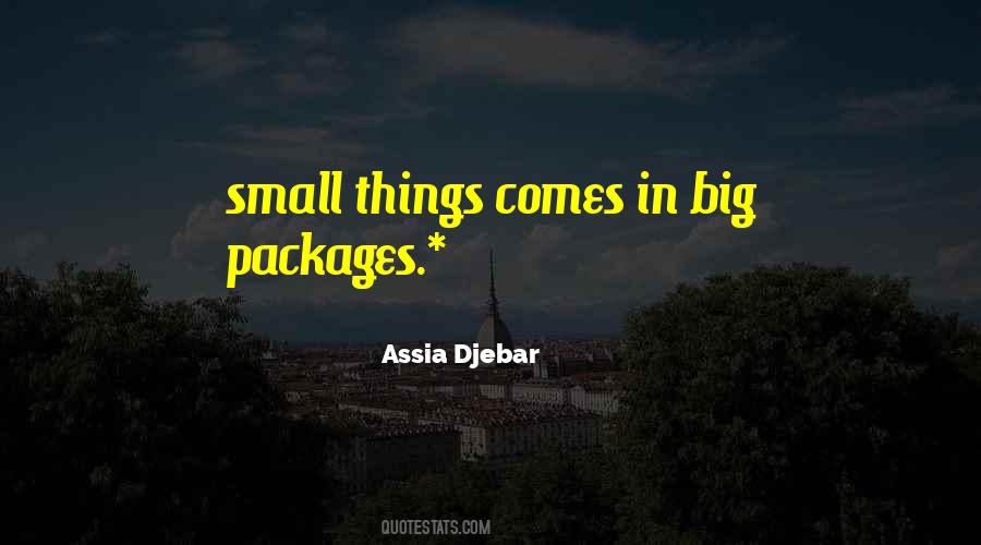 Big Things Come In Small Packages Quotes #1085012