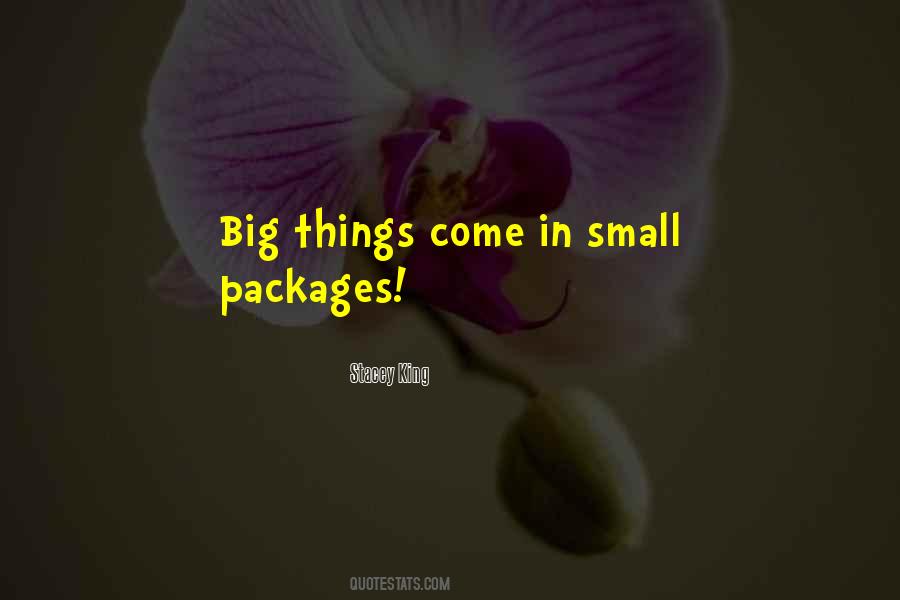 Big Things Come In Small Packages Quotes #757276