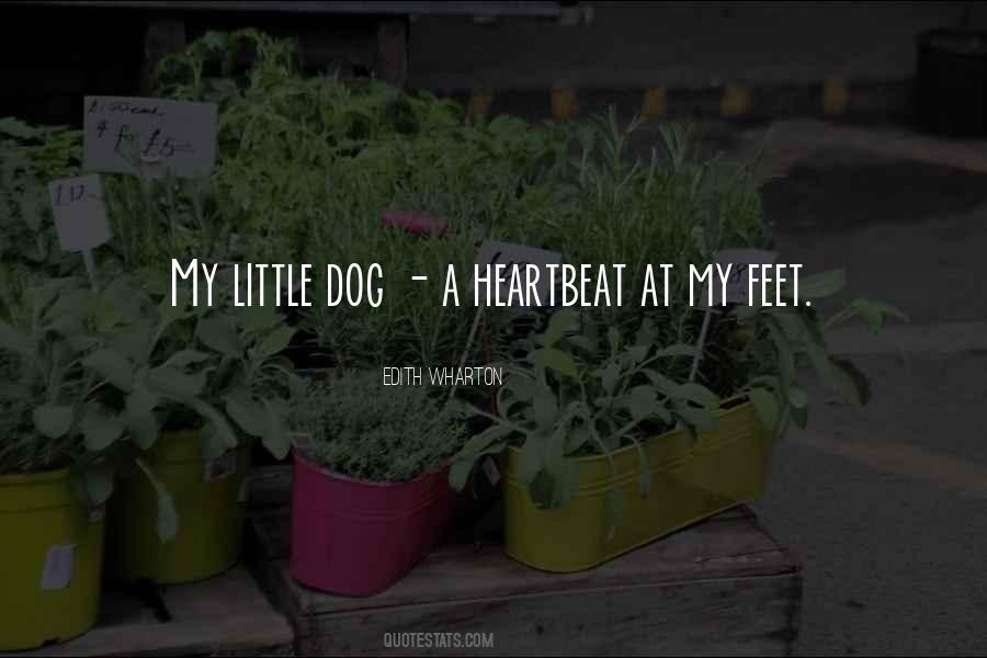 Quotes About Little Feet #29464