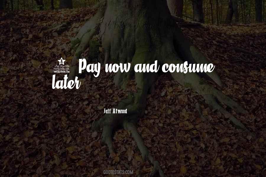 Pay Now Quotes #618861