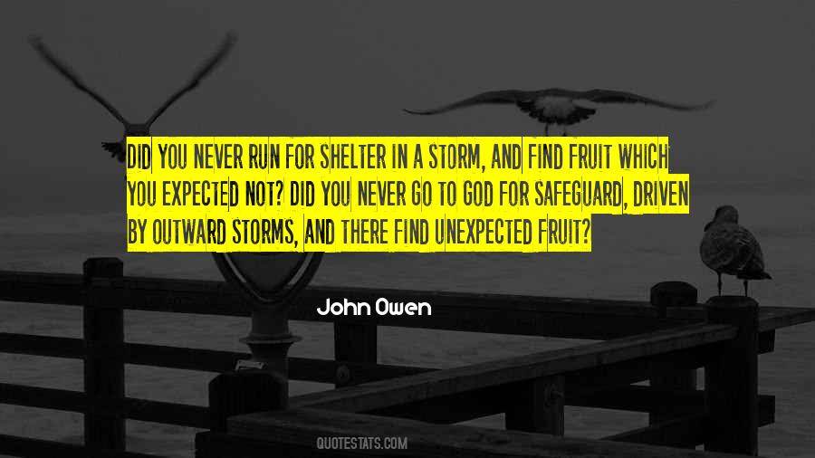 Quotes About Shelter From The Storm #831781