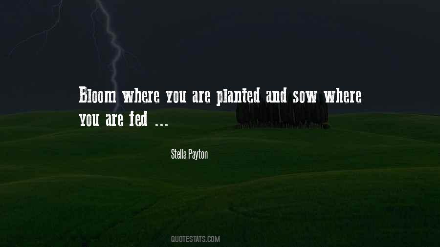 Bloom Where You Are Planted Quotes #1185215
