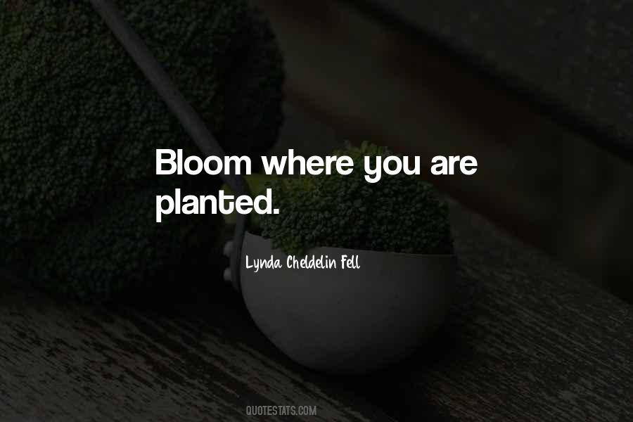 Bloom Where You Are Planted Quotes #503519