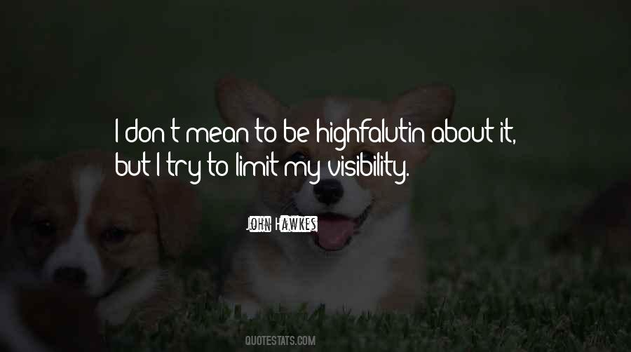 Quotes About Visibility #1196531
