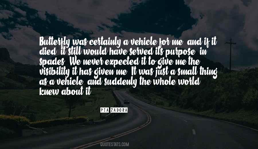 Quotes About Visibility #547045