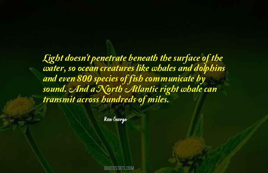 Quotes About Transmit #1003458