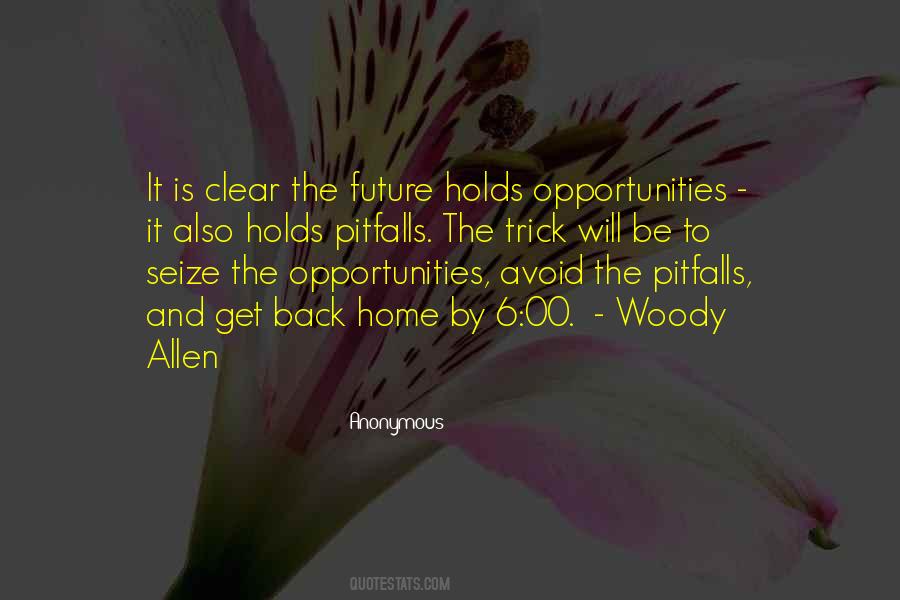 Quotes About Pitfalls #1787626