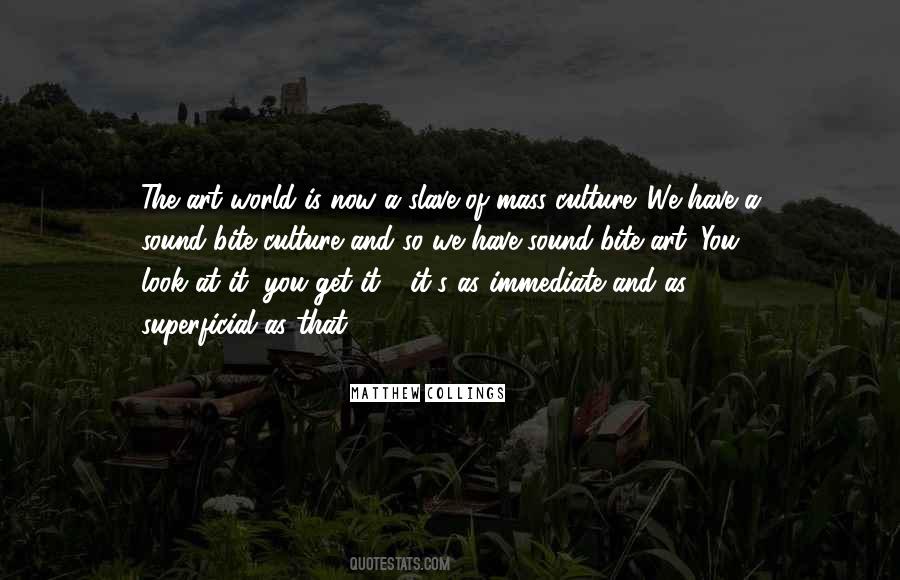 Quotes About Art And Culture #637145