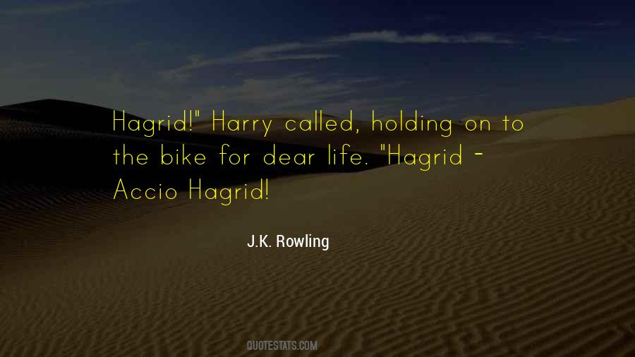 Hagrid In Harry Quotes #152794