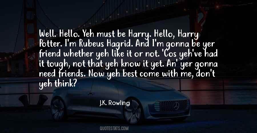 Hagrid In Harry Quotes #864281