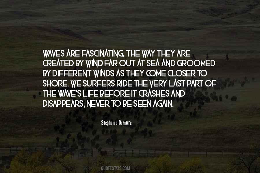 Ride The Waves Quotes #405458