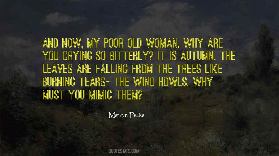 Quotes About Autumn And Rain #1515698