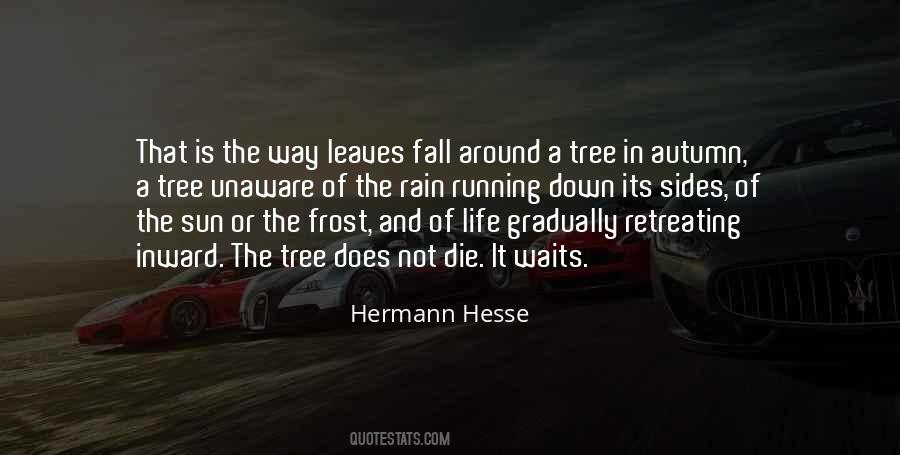 Quotes About Autumn And Rain #1698097