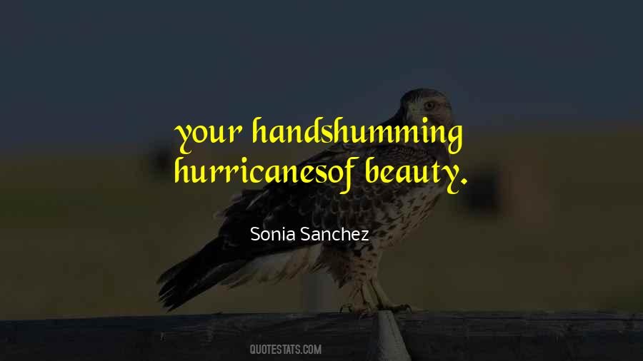 Quotes About Hurricanes #723597