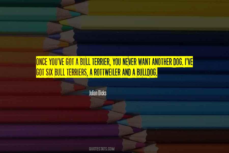 Quotes About Terriers #176945