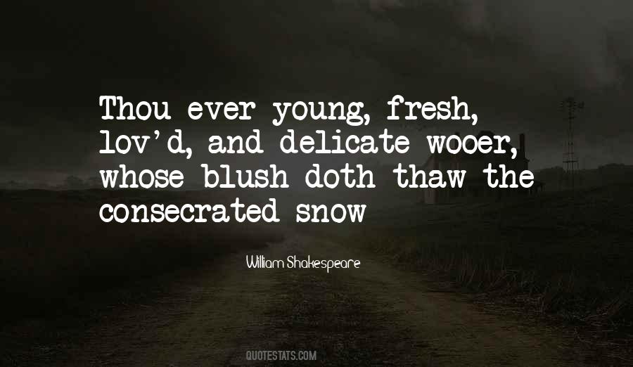 Love And Snow Quotes #1345332