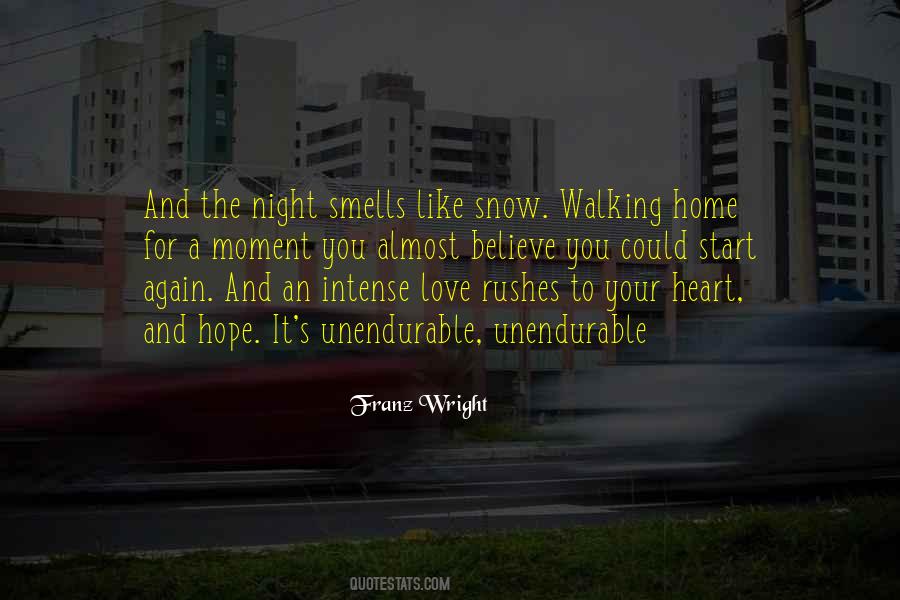 Love And Snow Quotes #778993