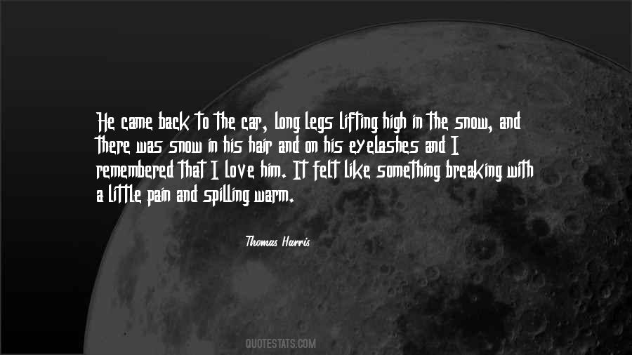 Love And Snow Quotes #889084