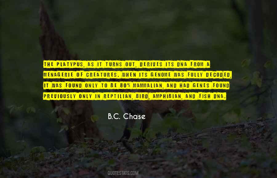 Out Fully Quotes #241203