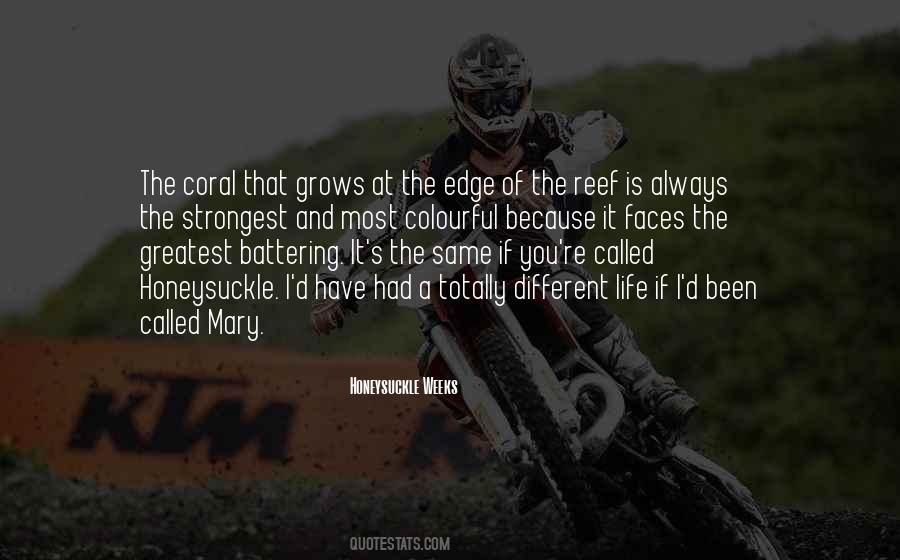The Reef Quotes #1847359