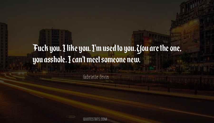 Quotes About Someone You Meet #704296