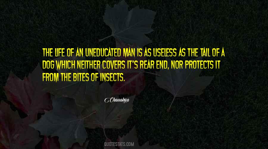 Quotes About Useless Man #570182