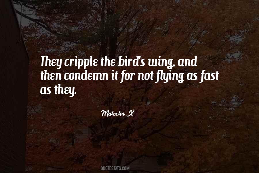 The Bird Quotes #1205967