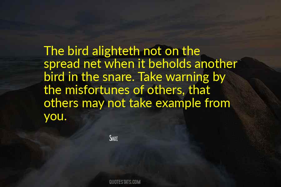 The Bird Quotes #1644040