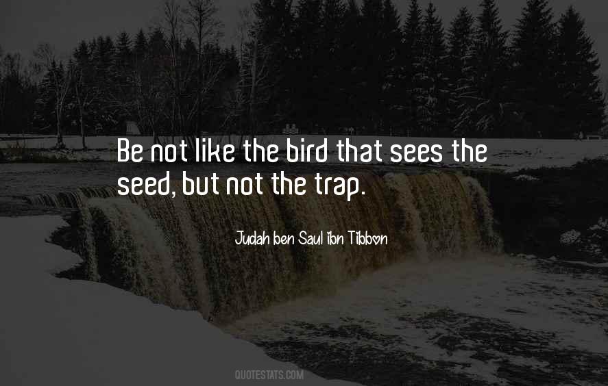 The Bird Quotes #914947