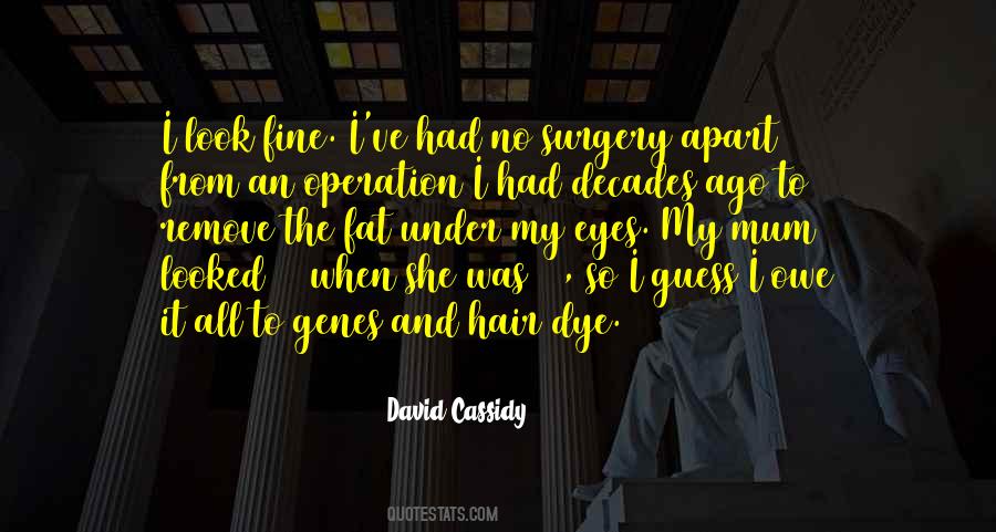 Quotes About Hair Dye #852489
