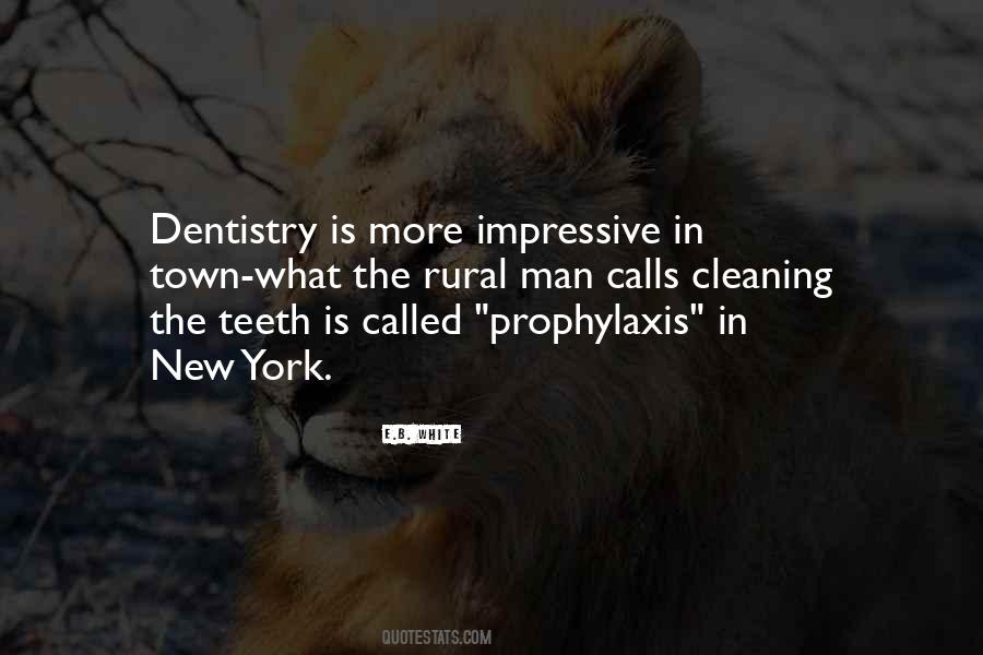 Quotes About White Teeth #86656