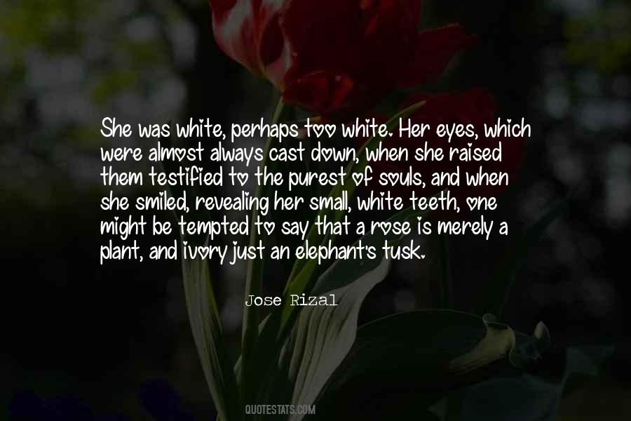 Quotes About White Teeth #868338