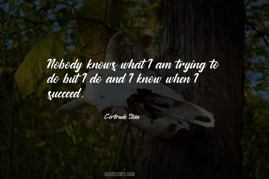 Quotes About Trying Until You Succeed #344181