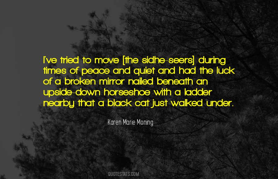 Quotes About A Broken Mirror #305930