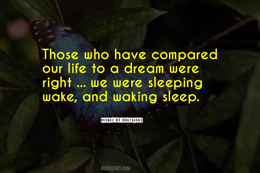 Quotes About Sleeping Well #19349