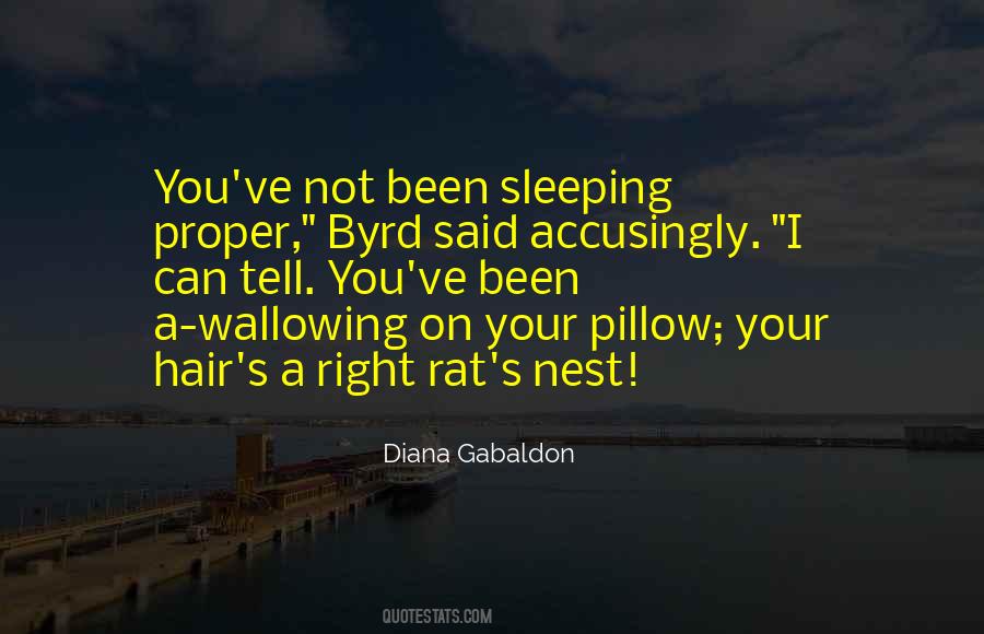 Quotes About Sleeping Well #33197