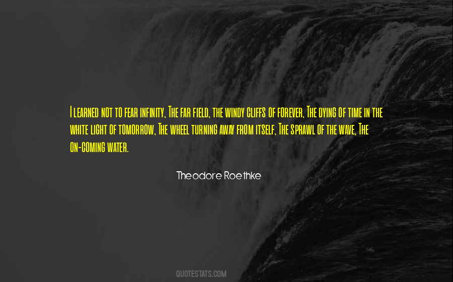 Quotes About The Wheel Of Time #812600