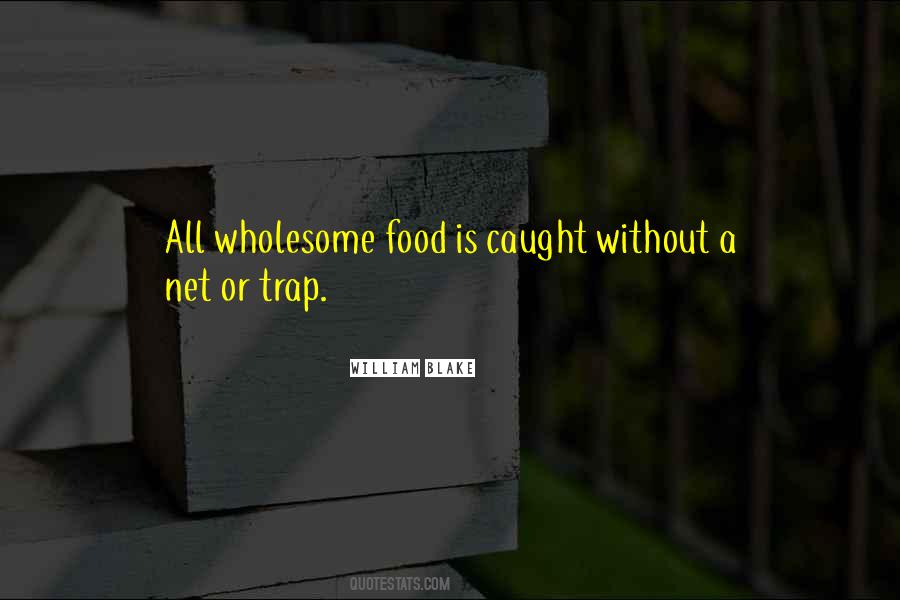 Without A Net Quotes #820036