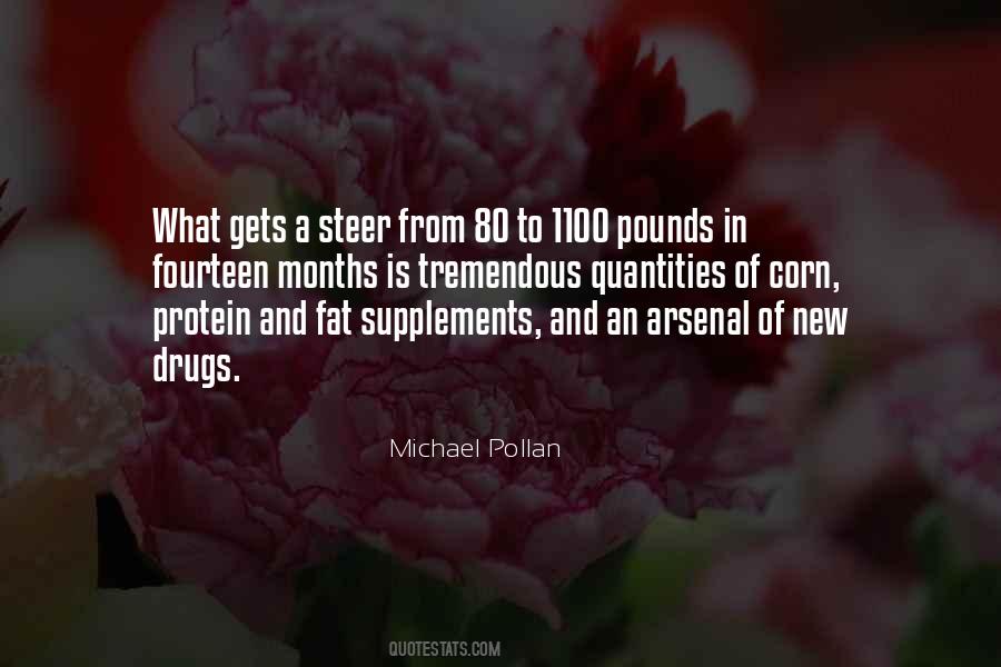 Quotes About Supplements #641252