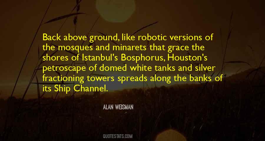 Quotes About Mosques #988505