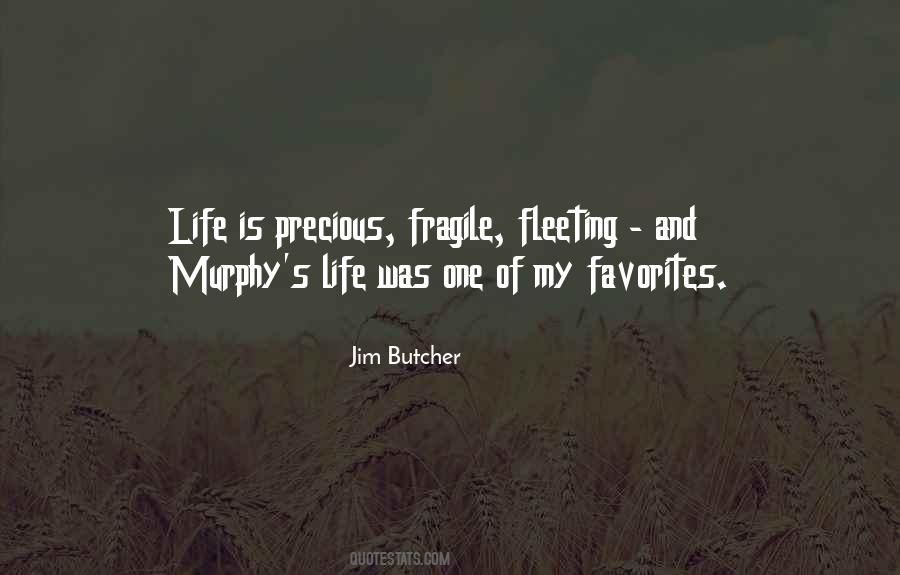 Quotes About Life Is Precious #807897