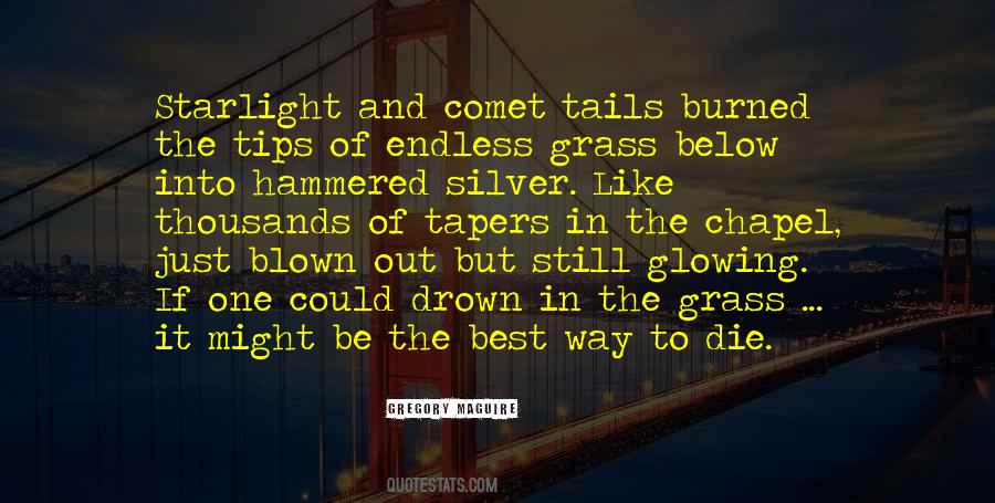 Hammered Silver Quotes #1260209