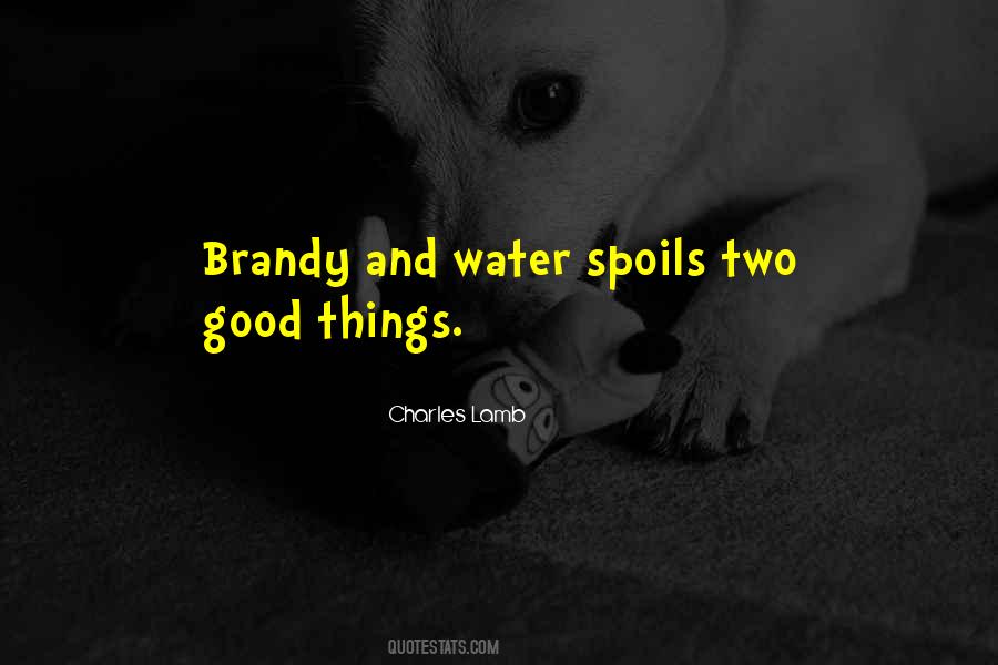 Quotes About Good Water #631123