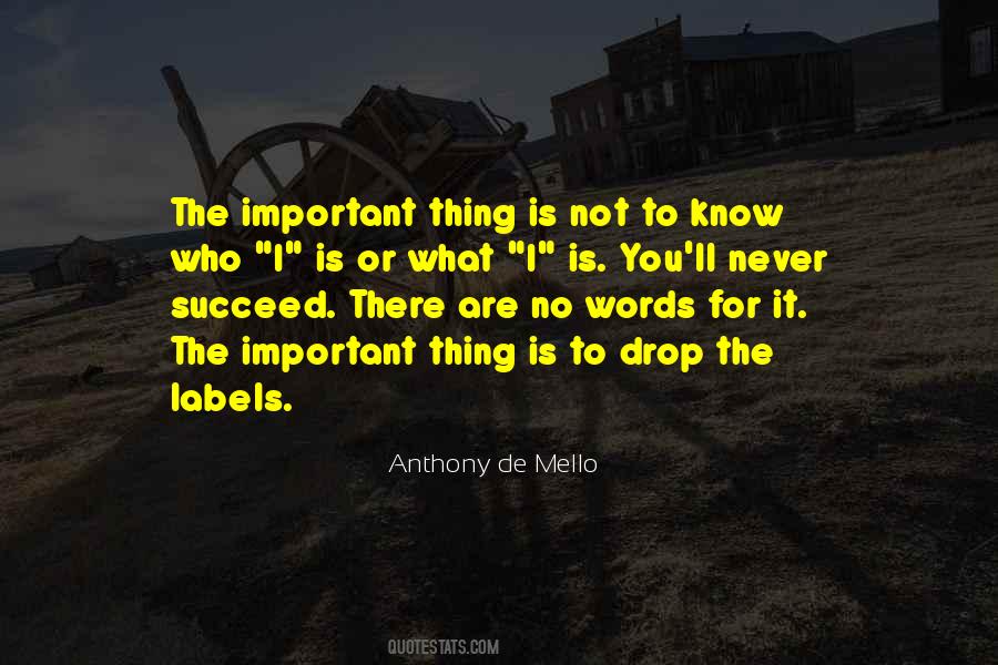 Quotes About No Labels #319447